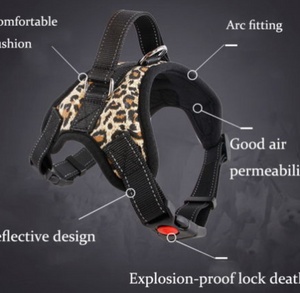 Pet Dog Vest Harness Leash Collar Set No Pull Adjustable Small/Medium/Large/XL